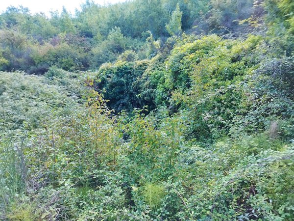 terreno edificabile in vendita a San Mango sul Calore