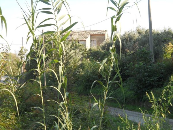 casa indipendente in vendita a San Martino Valle Caudina