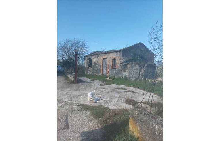 terreno agricolo in vendita a San Martino Valle Caudina