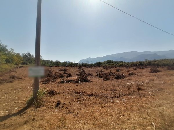 terreno agricolo in vendita a San Martino Valle Caudina