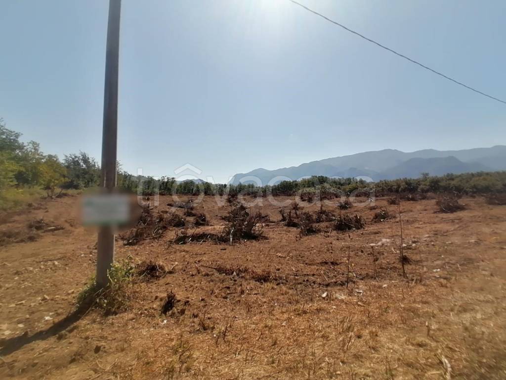terreno agricolo in vendita a San Martino Valle Caudina