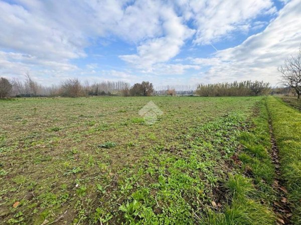 terreno agricolo in vendita a San Martino Valle Caudina
