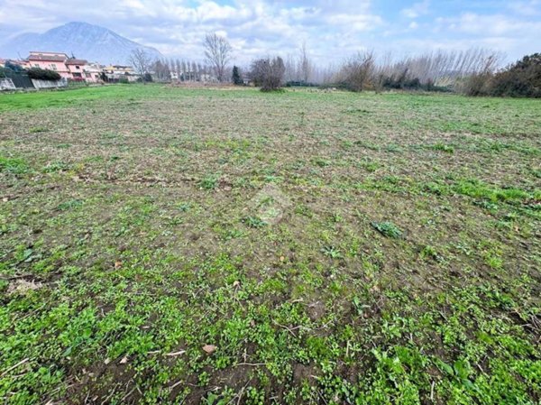 terreno agricolo in vendita a San Martino Valle Caudina