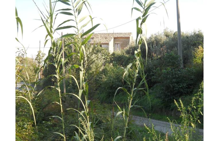 casa indipendente in vendita a San Martino Valle Caudina