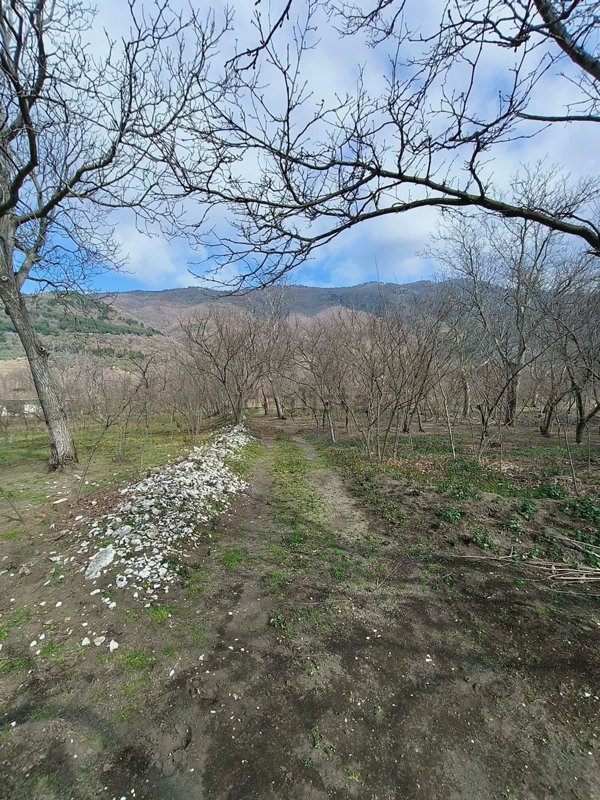 terreno agricolo in vendita a San Martino Valle Caudina