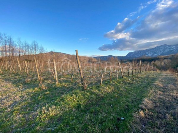 terreno agricolo in vendita a San Martino Valle Caudina