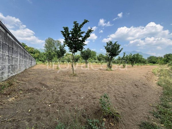 terreno agricolo in vendita a San Michele di Serino