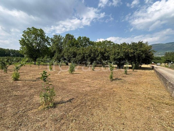 terreno agricolo in vendita a San Michele di Serino