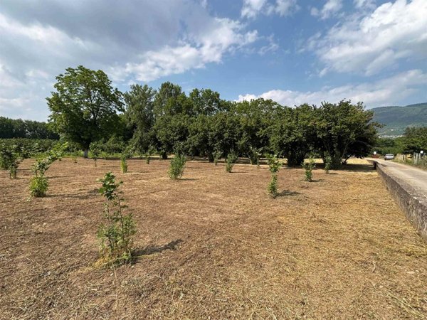 terreno agricolo in vendita a San Michele di Serino