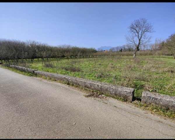 terreno agricolo in vendita a San Michele di Serino