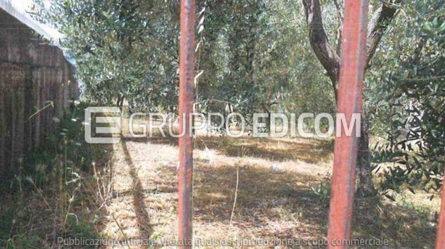 terreno agricolo in vendita a San Nicola Baronia