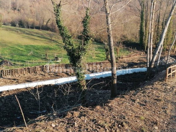 casa indipendente in vendita a San Nicola Baronia
