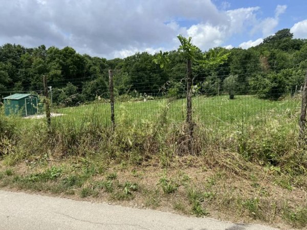 terreno agricolo in vendita a San Potito Ultra
