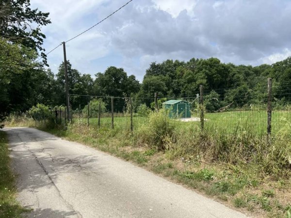 terreno agricolo in vendita a San Potito Ultra