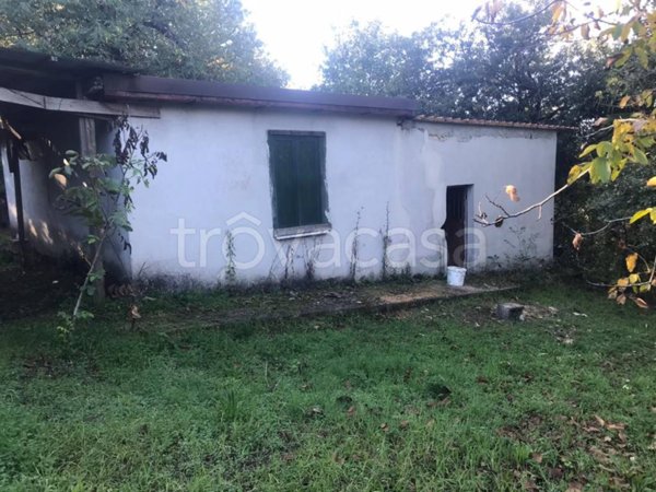 terreno agricolo in vendita a San Potito Ultra