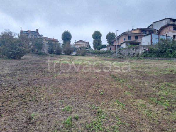 terreno agricolo in vendita a San Potito Ultra