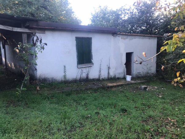 terreno agricolo in vendita a San Potito Ultra
