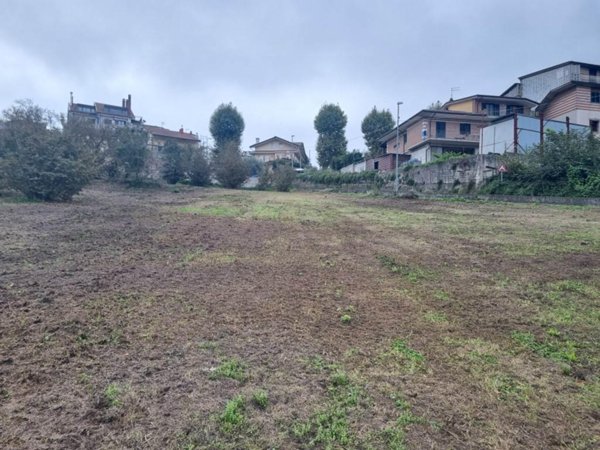 terreno agricolo in vendita a San Potito Ultra