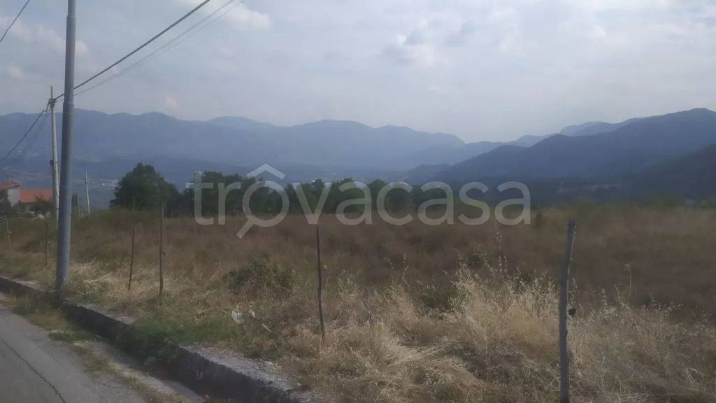 terreno agricolo in vendita a San Potito Ultra