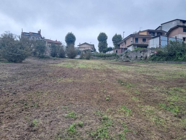 terreno agricolo in vendita a San Potito Ultra
