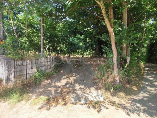 terreno agricolo in vendita a San Potito Ultra