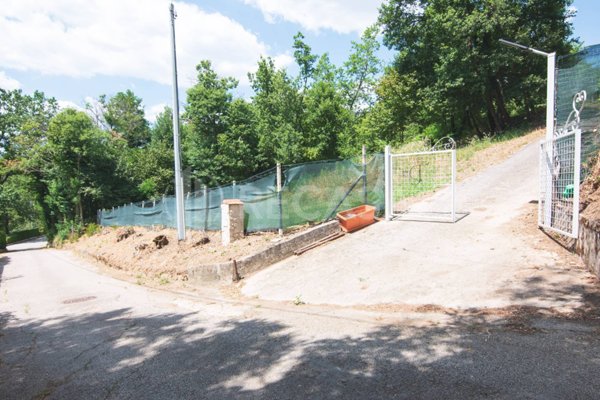 terreno agricolo in vendita a San Potito Ultra