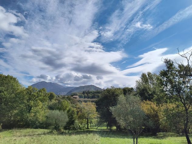terreno agricolo in vendita a San Potito Ultra