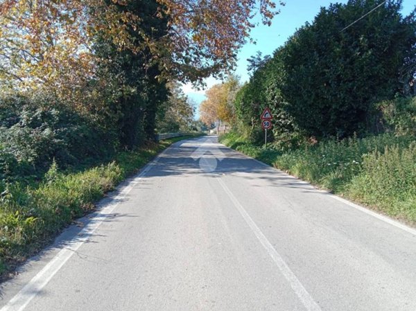 terreno agricolo in vendita a San Potito Ultra