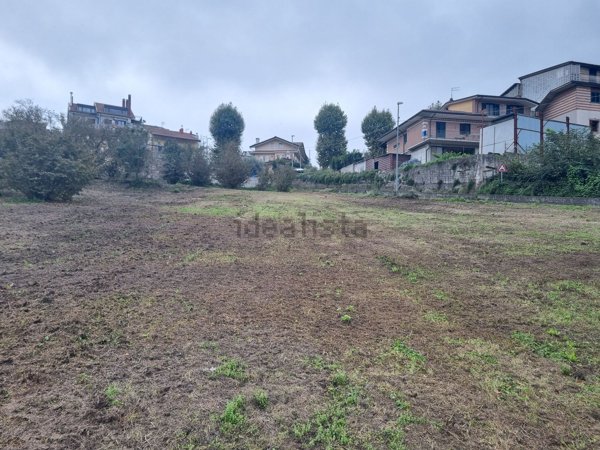 terreno agricolo in vendita a San Potito Ultra