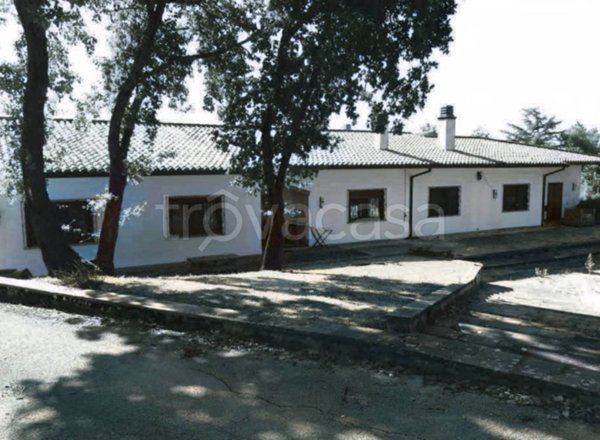 terreno edificabile in vendita a San Potito Ultra