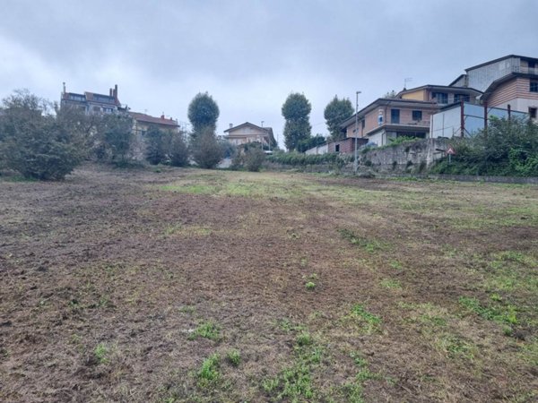 terreno agricolo in vendita a San Potito Ultra