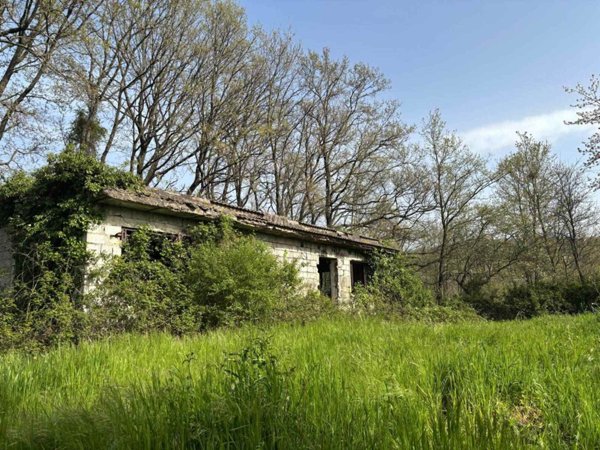 appartamento in vendita a San Potito Ultra