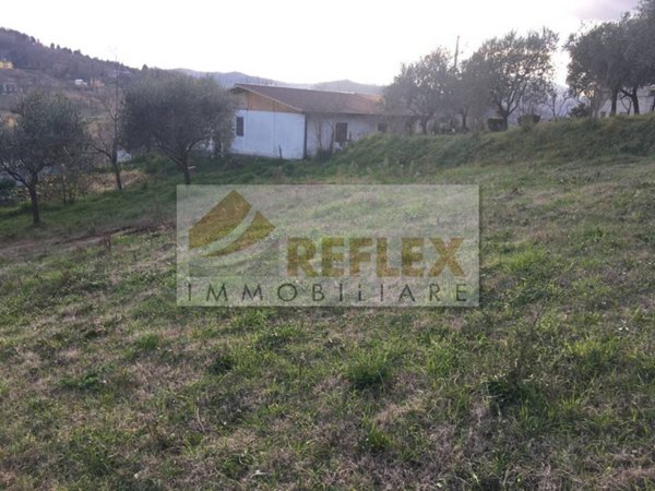 terreno agricolo in vendita a San Potito Ultra