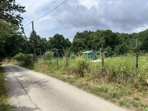 terreno agricolo in vendita a San Potito Ultra