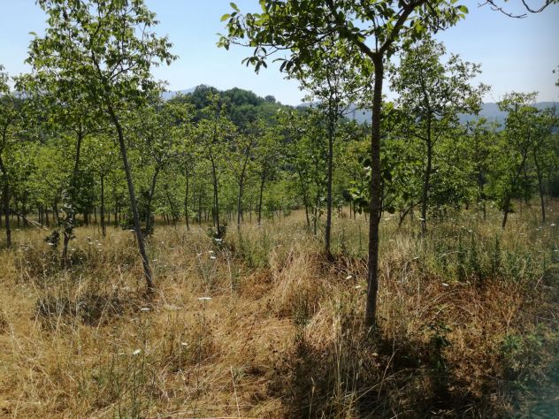 villetta a schiera in vendita a Santa Lucia di Serino