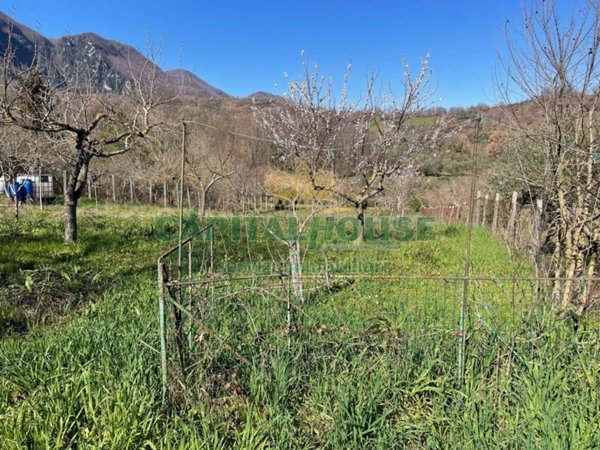 terreno agricolo in vendita a Sant'Angelo a Scala