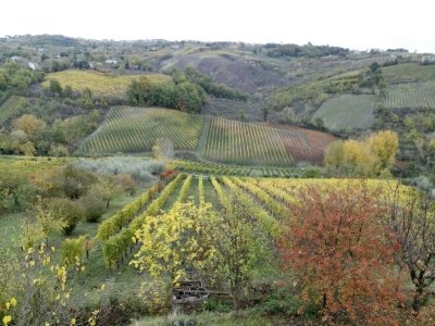 villetta a schiera in vendita a Santa Paolina in zona Marotta