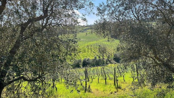 casa indipendente in vendita a Santa Paolina