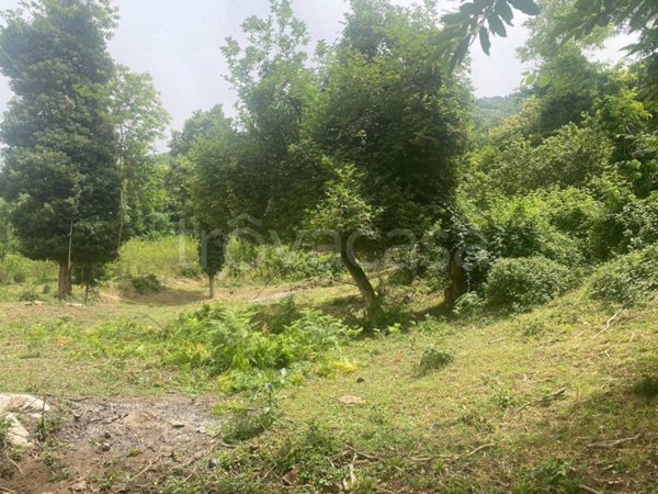 terreno agricolo in vendita a Santo Stefano del Sole