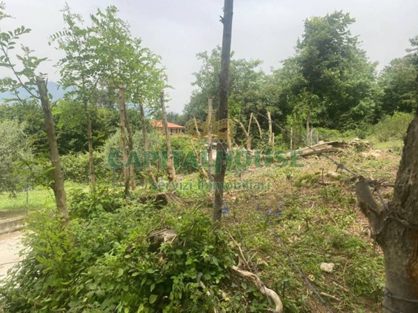 terreno agricolo in vendita a Santo Stefano del Sole