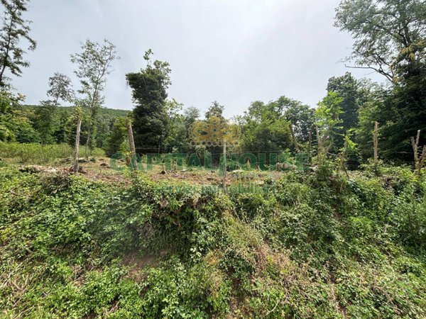 terreno agricolo in vendita a Santo Stefano del Sole