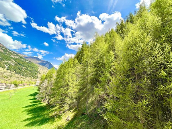 appartamento in vendita ad Argentera in zona Bersezio