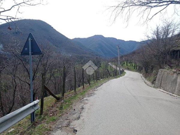 terreno agricolo in vendita a Serino