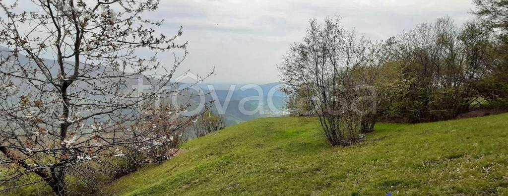 terreno agricolo in vendita a Serino