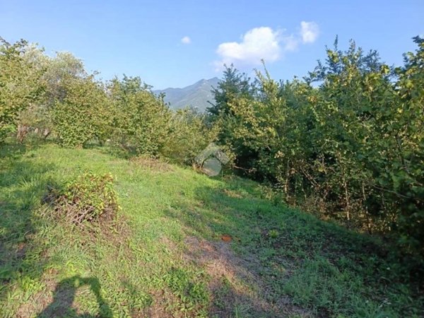 terreno agricolo in vendita a Serino