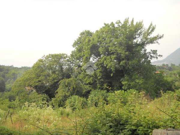 terreno agricolo in vendita a Serino