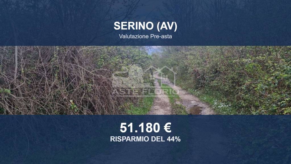 terreno agricolo in vendita a Serino