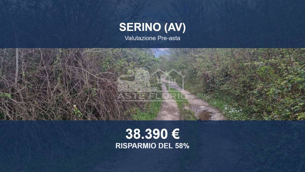 terreno agricolo in vendita a Serino