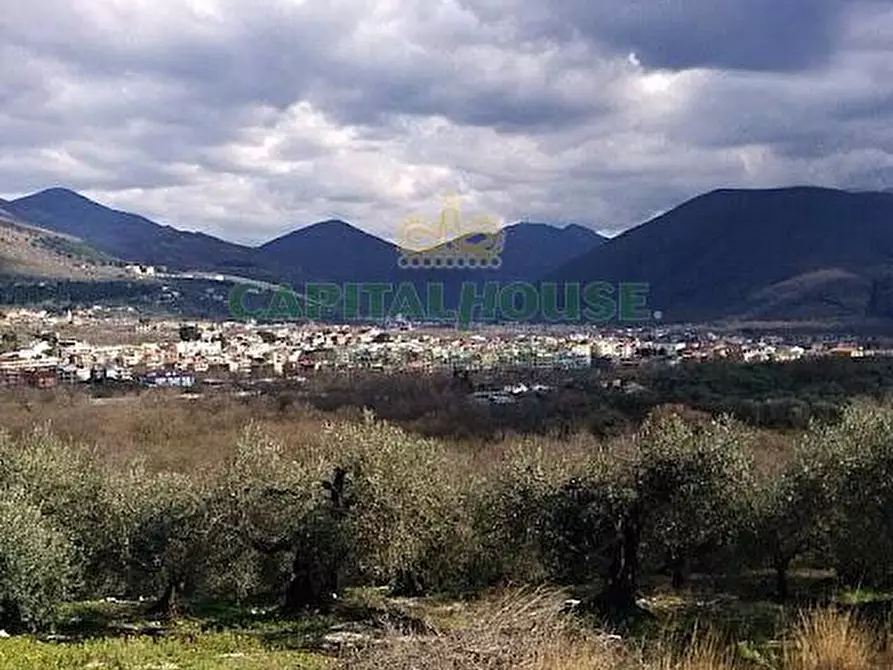 terreno agricolo in vendita a Sirignano