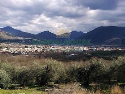 terreno agricolo in vendita a Sirignano
